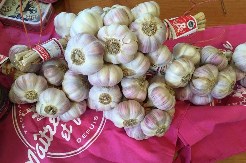 Aïl, aïl, aïl – alles Knoblauch (3 Rezepte für den rosa Knoblauch aus Lautrec)