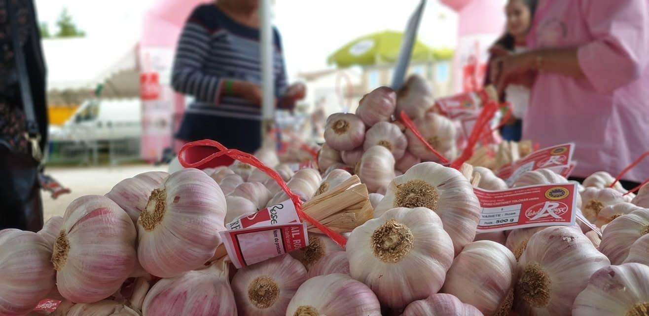 Rosa Knoblauch aus Lautrec: die Geschichte hinter den Bündeln