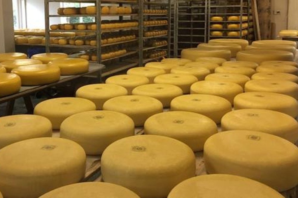 Ein Käse namens Gouda – die Suche nach dem Original - Maître Philippe & Filles