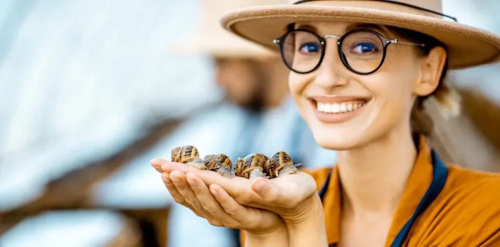 Schnecken von Nordic Snails - Maître Philippe & Filles