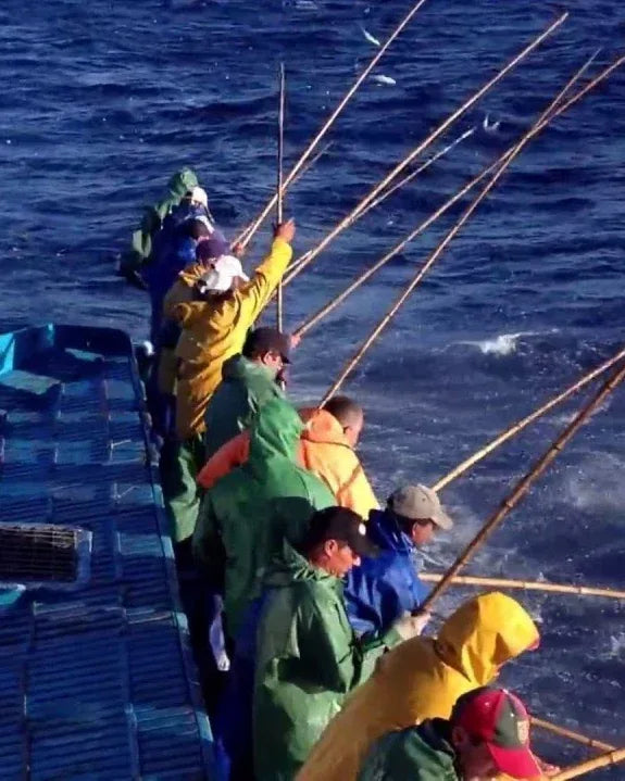 Atum Claro - Bonito - Maître Philippe & Filles