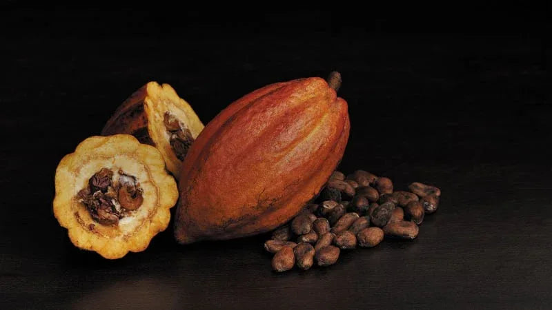 Schokolade - Maître Philippe & Filles