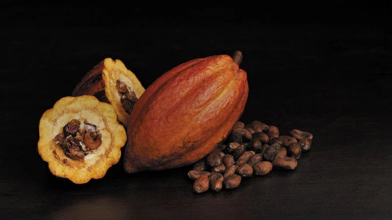 Schokolade - Maître Philippe & Filles