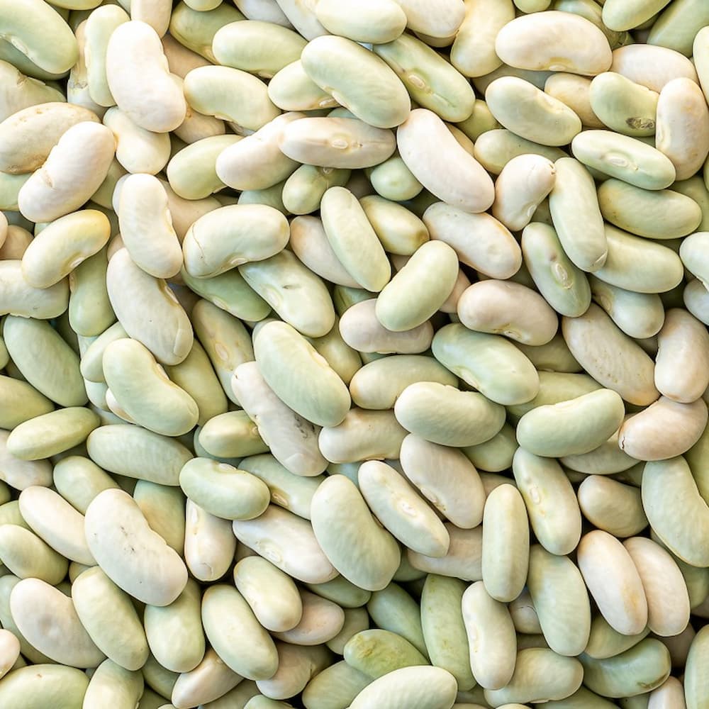 Flageolets beans from France 400g