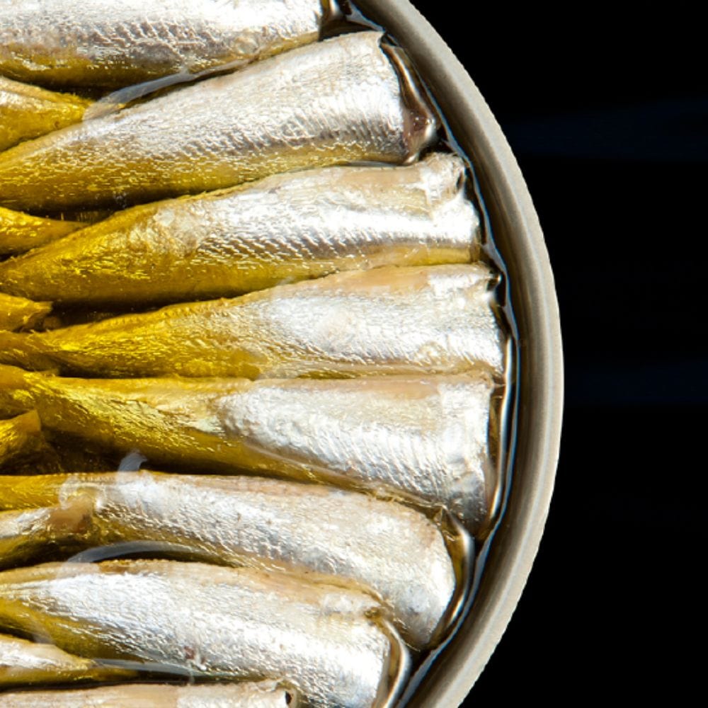 Real Conservera Española Fischkonserven Dose à 112 g Kleine Sardinen aus Galicien mit Olivenöl (Sardinillas) Maitre Philippe et Filles