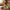 Morning Live Frühstücks-Chili-Sauce mit Chipotle und Zichorie - Stärke 6/12 Maison Martin