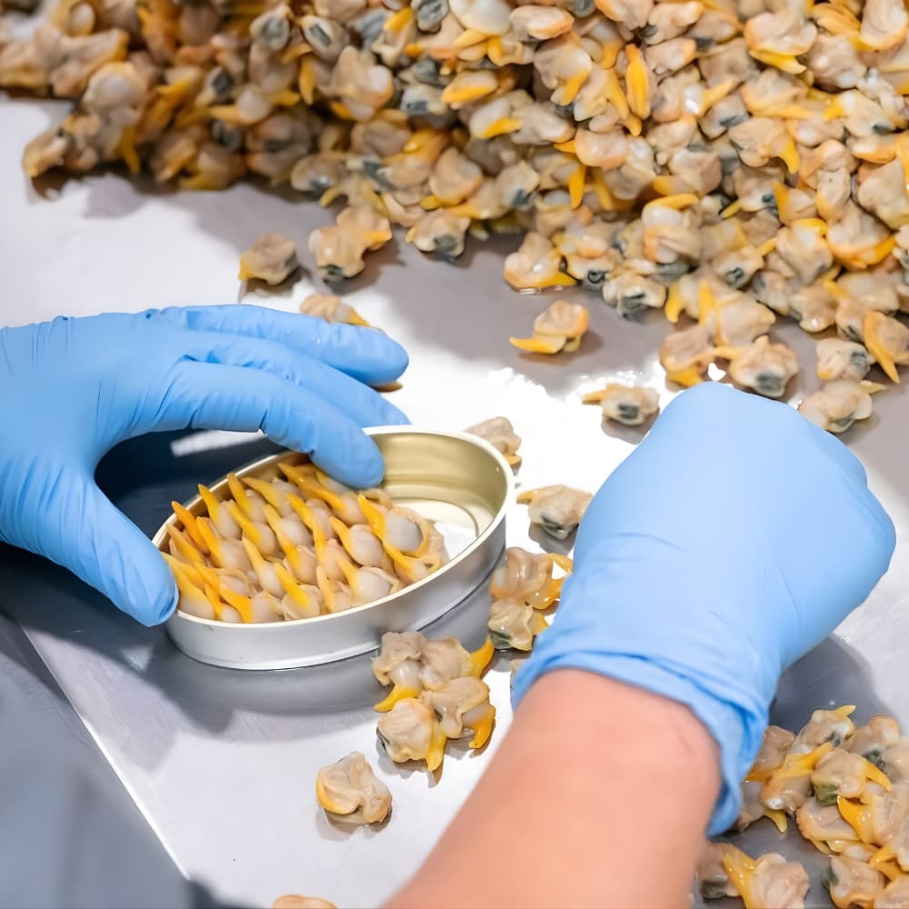 Berberechos al Natural de las Rías Gallegas (Galicische Herzmuscheln im eigenen Saft) - Real Conservera Española - Maître Philippe & Filles