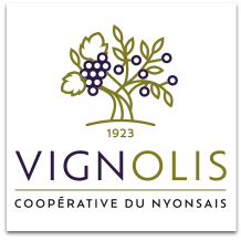 Vignolis