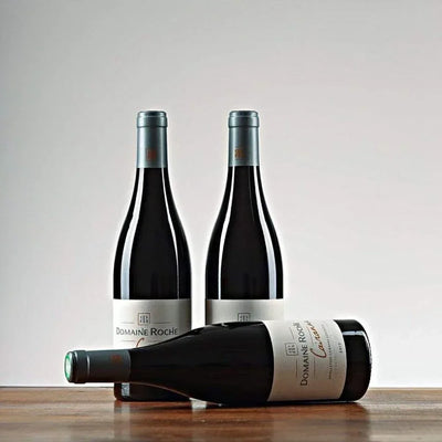 Cairanne 2023 Domaine Roche
