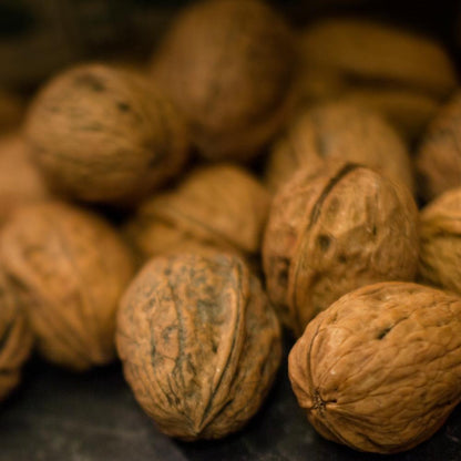 Grenoble walnut harvest 2023