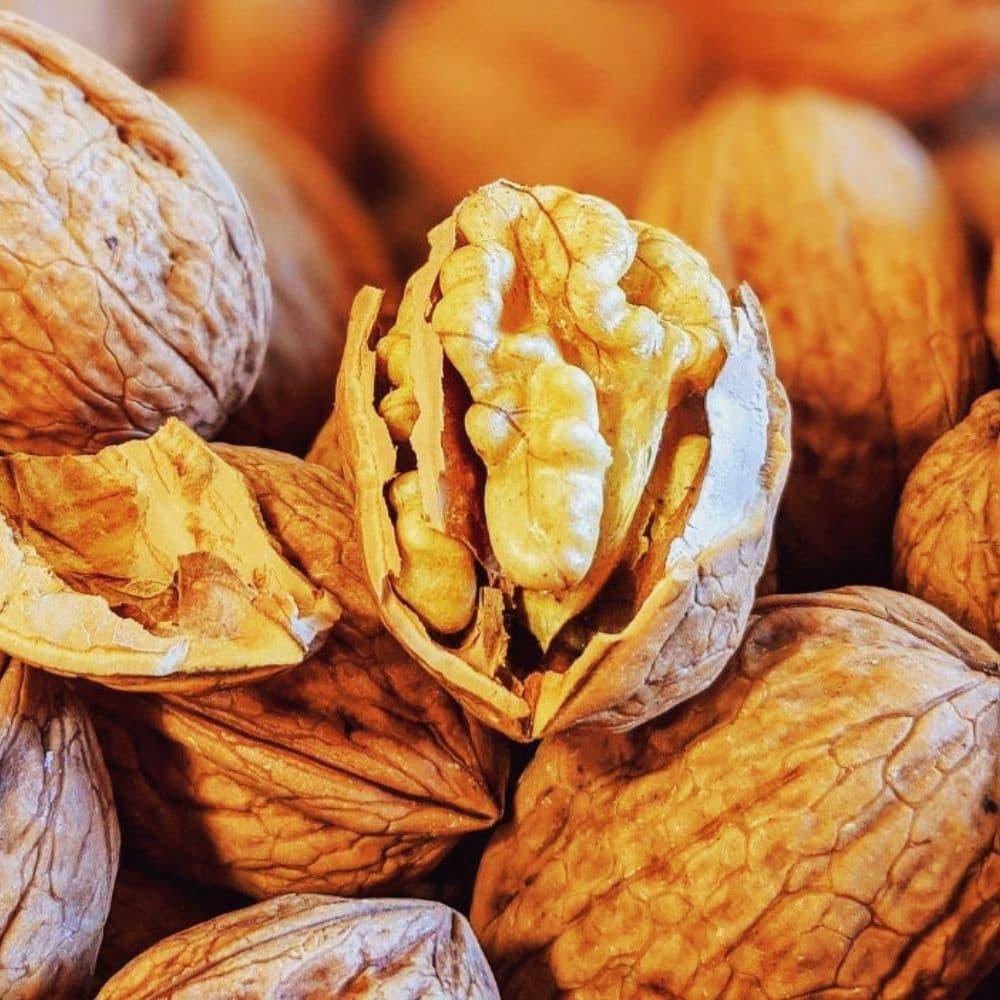 Grenobler Walnüsse Ernte 2025 Kaliber 30/32mm La Ferme des Signaux