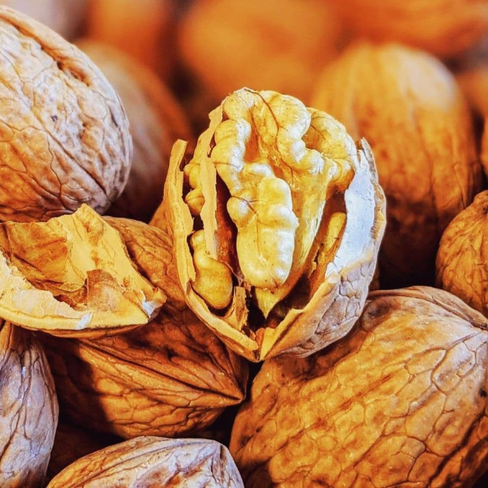 Grenobler Walnüsse Ernte 2023 Kaliber 32/34mm - La Ferme des Signaux