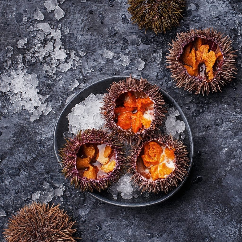 Rogen von Seeigel aus Galizien -  Ramon Pena  - Maître Philippe & Filles