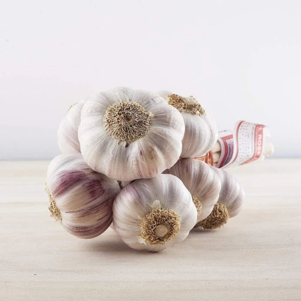 Rosa Knoblauch aus Lautrec Ernte 2026 La Lautrecoise